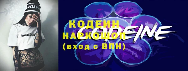 spice Няндома