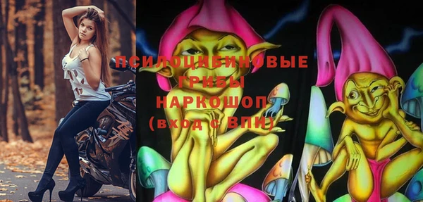 spice Няндома