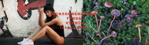 spice Няндома
