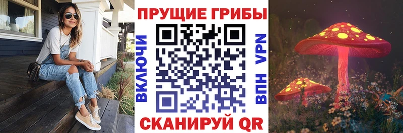 Псилоцибиновые грибы GOLDEN TEACHER  Балахна 