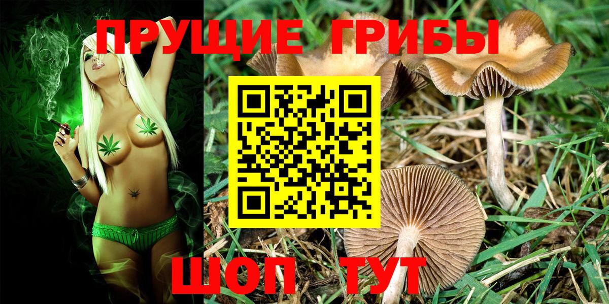 Балахна  Псилоцибиновые грибы MAGIC MUSHROOMS  где купить наркотик  Вход с VPN 