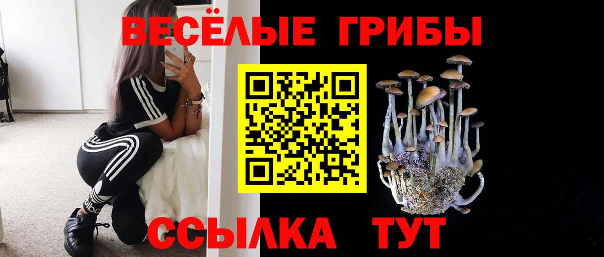 Галлюциногенные грибы мицелий Балахна