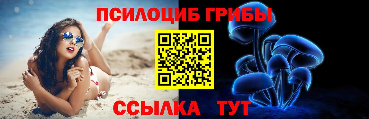 Псилоцибиновые грибы Magic Shrooms Балахна